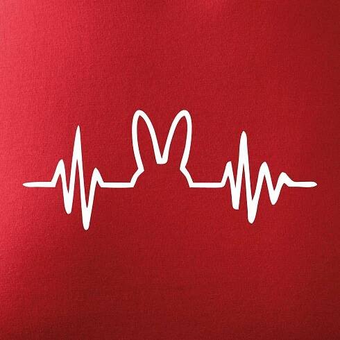 EKG zajíc - Mikina Essential dětská