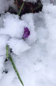 Česko čeká nejdeštivější den. Na horách se přidá sníh, napadne až 10 čísel, sledujte radar Blesku