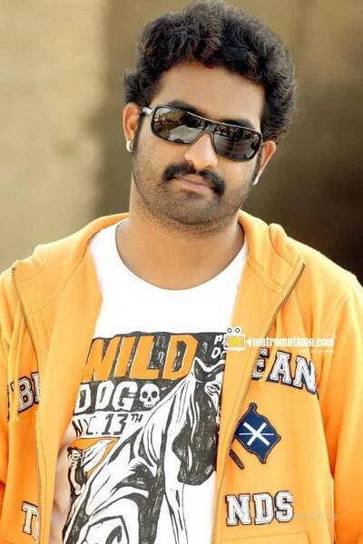 N T Rama Rao Jr: Net Worth, Age, Career, Facts & More