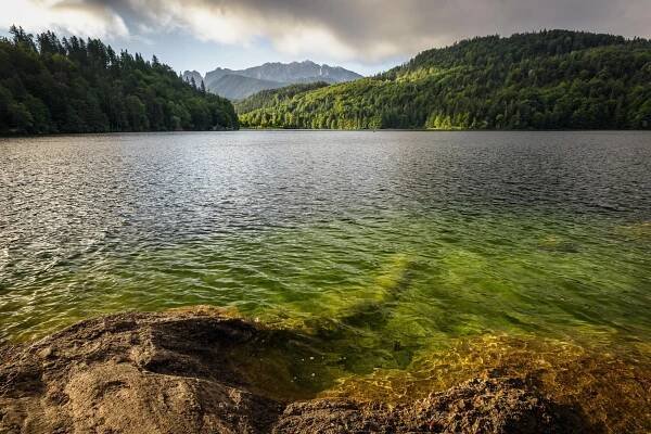 Jezero s vodní štikou