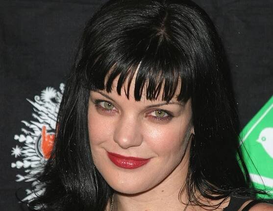 Pauley Perrette