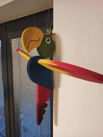 Létací papoušek velký