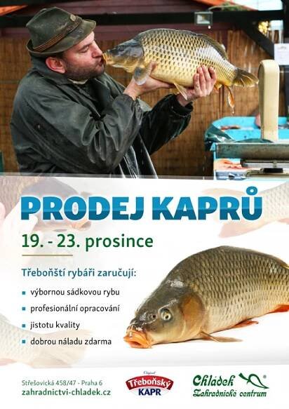 Prodej kaprů : Akce - Zahradnictví Chládek