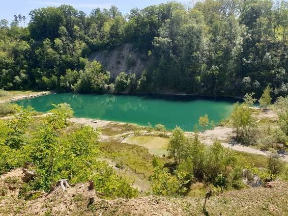 Kurovický lom nabídne pohled do středu včelího úlu
