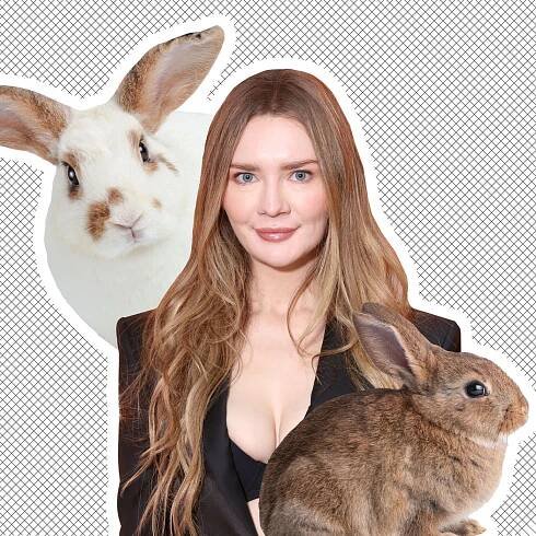 Anna Delvey’s Bunny Scandal Keeps Getting Messier