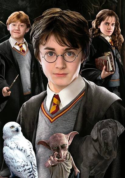 EDUCA Miniaturní puzzle Harry Potter 1000 dílků 152261