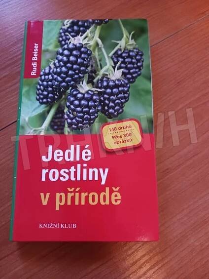 Kniha Jedlé rostliny v přírodě - Trh knih - online antikvariát