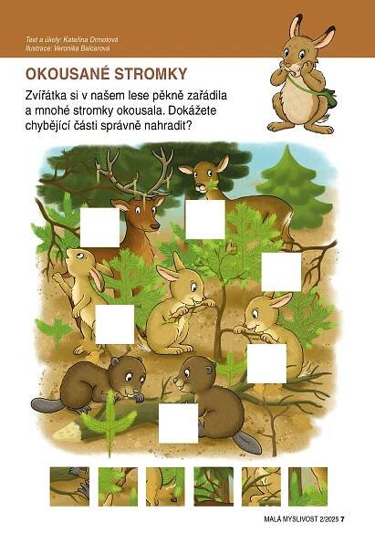 malý Adept myslivosti - ZÁBAVNÉ KVÍZY nejen pro myslivečky 