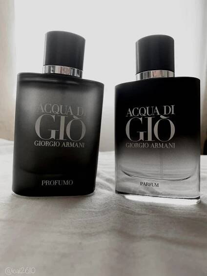Acqua di Giò Profumo Giorgio Armani pro muže