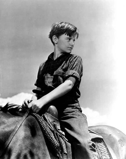 Roddy McDowall - Actor, Photographer, Director