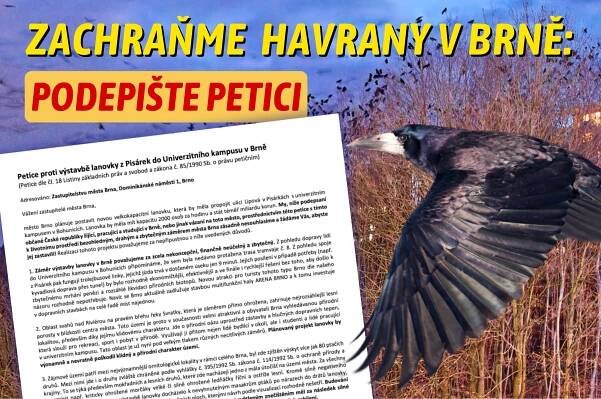 Havrani v Brně: spouštíme petici a zveme na exkurzi