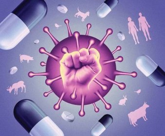 Antibiotiká – Ako ich správne užívať? – BELGA, s.r.o.