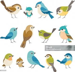 Malí ptáci - Bez autorských poplatků Pták vektorové obrázky