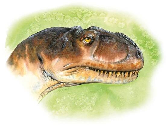 ABC dinosaurů: Yangchuanosaurus ulovil cokoliv