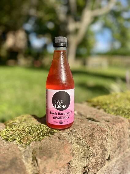 Our Original Bottle Flavors — Blue Ridge Bucha