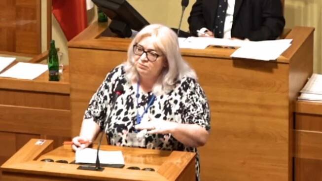 Odpudivý a nepřijatelný rasismus, reagují politici na slova senátorky Zwyrtek Hamplové