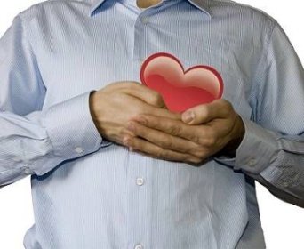 Lidské srdce - princip jeho fungování a zajímavosti