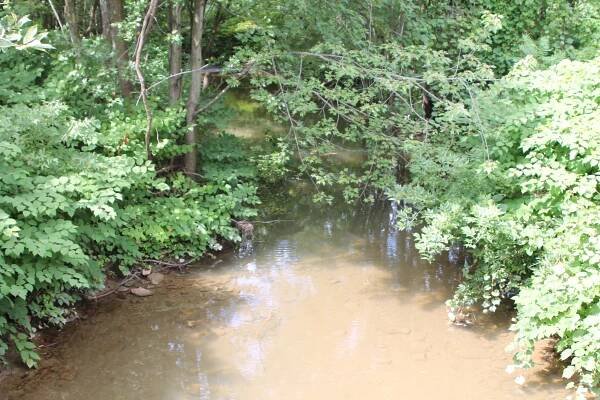 Wolf Run (Muncy Creek tributary)