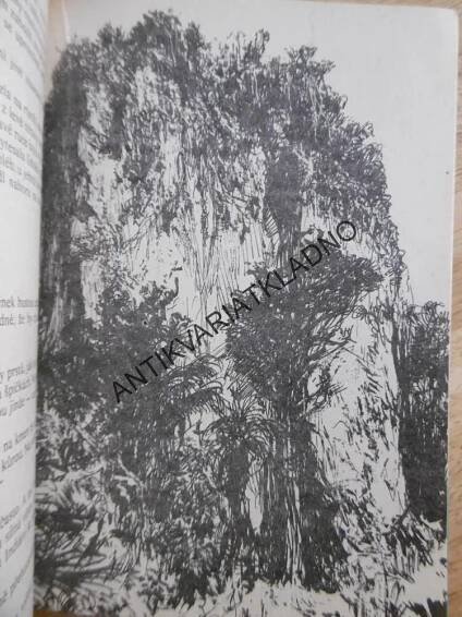 V KORDILLERÁCH, KAREL MAY,1975, GUSTAV KRUM, **an