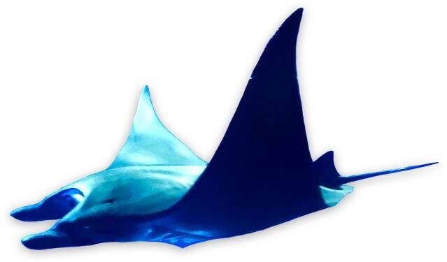 Scholarships/Awards - South Atlantic Jubilee