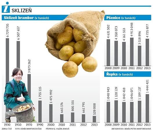 Brambory mizí z českých polí. Jejich cena je rok od roku vyšší - Deník.cz
