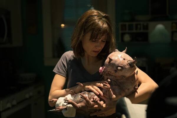 Katja Herbers - Actress