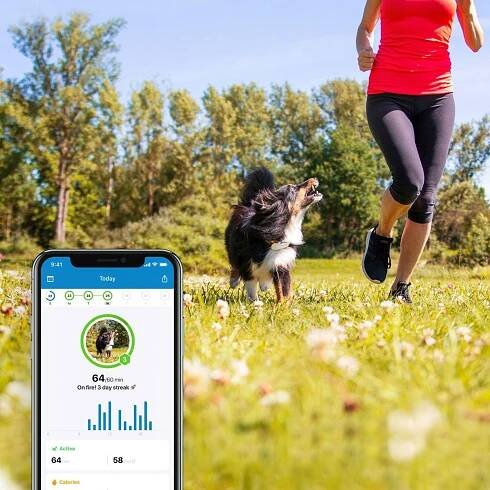 Lokátor Tractive GPS DOG 4 - monitor aktivity