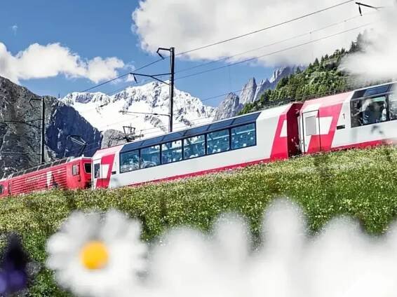 China plans to build 6,000 kilometers of railway lines in Algeria--Seetao