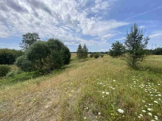 Prodej - pozemek, ostatní, 6 986 m²