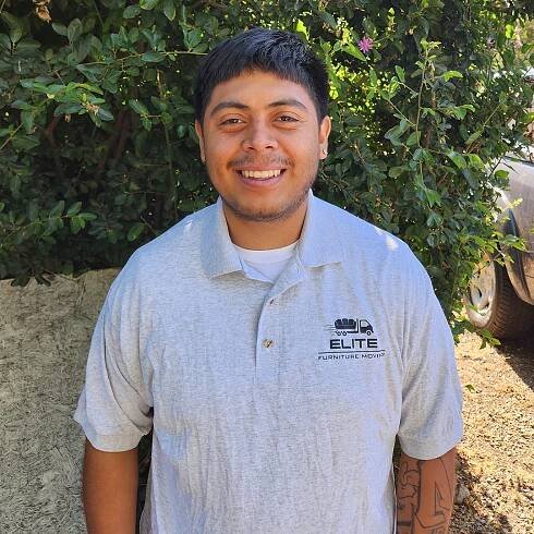 local home internal movers san diego