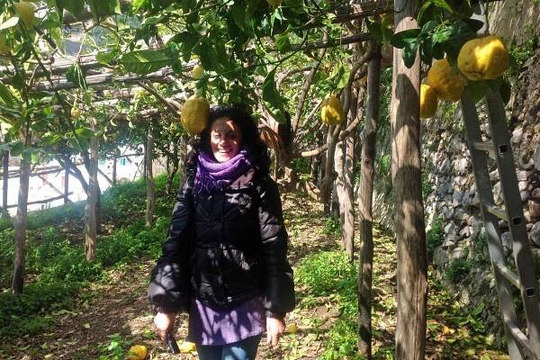 Private Lemon tour 3pm  - Image 3