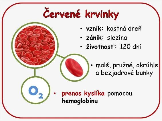 Červené krvinky