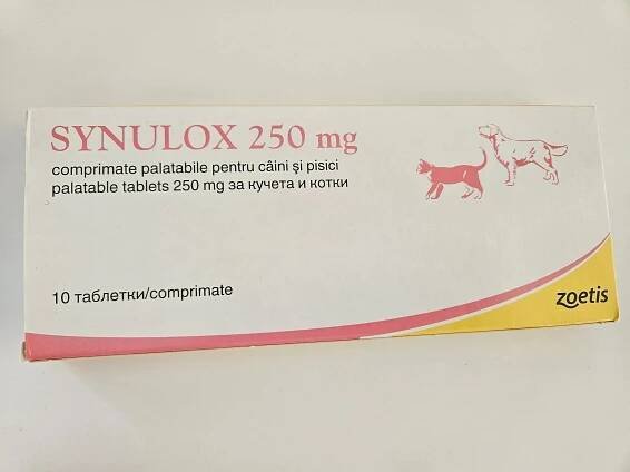 SYNULOX – 250 mg – 10 tablets