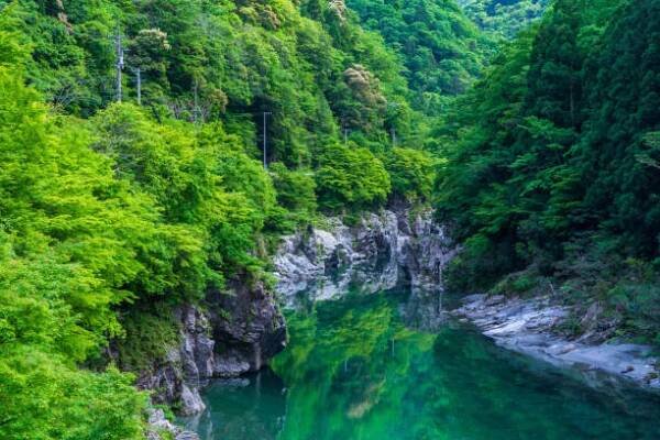 krásná raná letní scenérie řeky iya protékající městem miyoshi, prefektuře tokušima - iya valley - stock snímky, obrázky a fotky