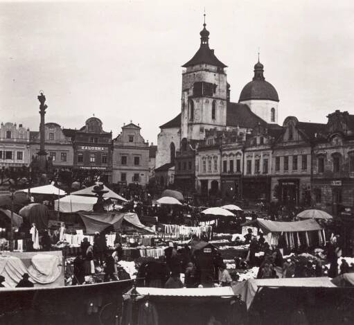 Boj o malé město. Příběhy památek a jejich lidí (1900-1960)