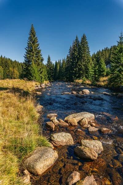 sumava-34