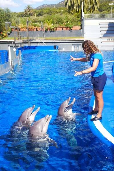 Marineland Mallorca Delfines