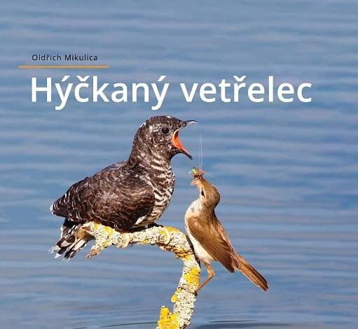 Oldřich Mikulica: Hýčkaný vetřelec • Česká společnost ornitologická