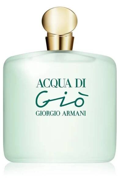 Giorgio Armani Acqua di Giò 100ml
