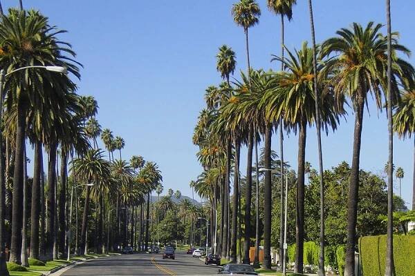 Visit Unique Neighborhoods in Beverly Hills | Love Beverly Hills