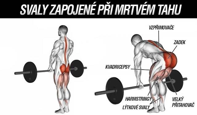 Mrtvý tah - zapojené svaly