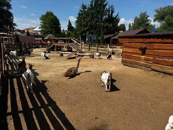 ZOOPARK DOKSY-SLUNÍČKA | Mateřská škola Sobotka