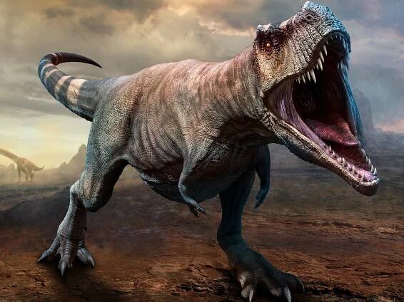 'Bold theory' that Tyrannosaurus rex is 3 species gets stomped to pieces