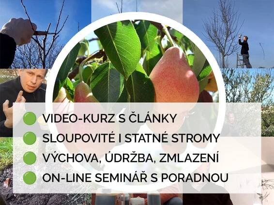 ŘEZ A PÉČE O JÁDROVINY - JARNÍ KURZ - HODINOVÝ SADAŘ
