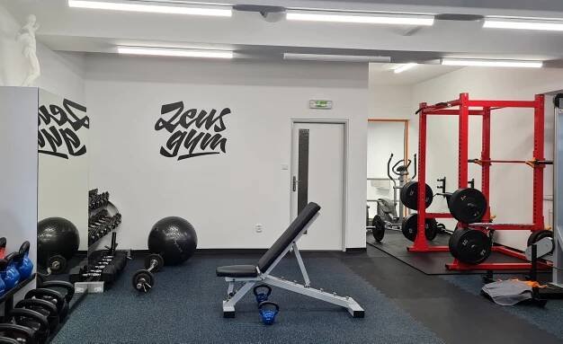 Graphic design - Zeus gym | Andrej Dieneš – Type design