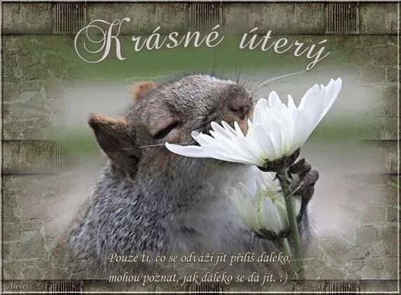 Krásné úterý