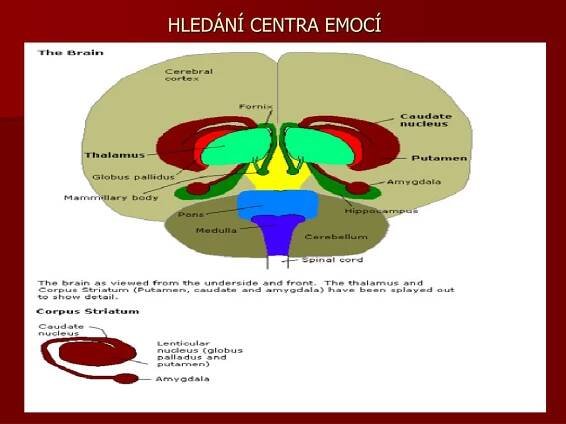 PPT - EMOCE PowerPoint Presentation, free download - ID:4178818