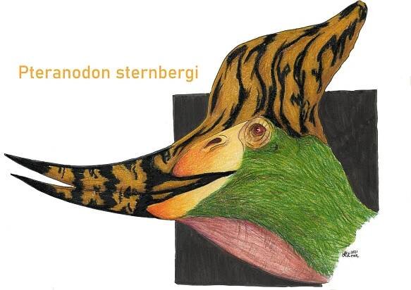 Art Gallery — NatureNerdArt