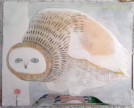 animal portrait i“ iru “ | ado(makiko watanabe) homepage