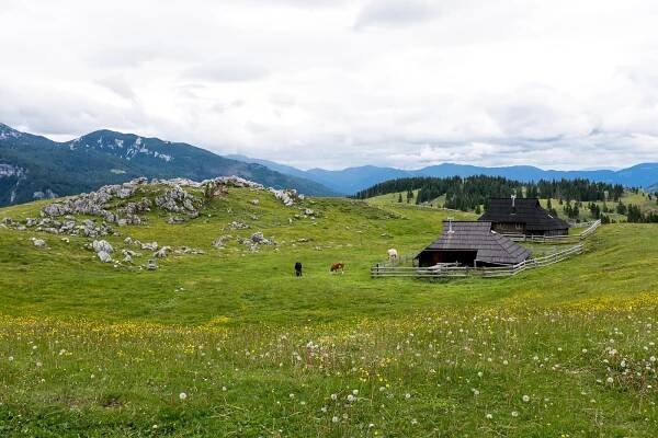 BG Photography: Slovinsko 2018 - Velika Planina